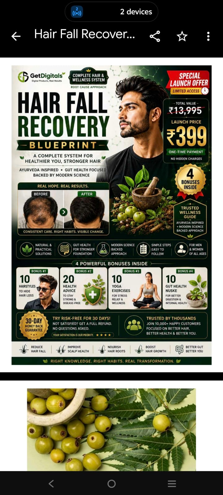 Hair Fall Recovery Blueprint — Hair Wellness Guide by GetDigitals.in