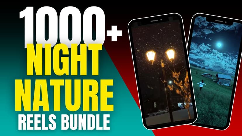 1000+ Night Nature Reels Bundle