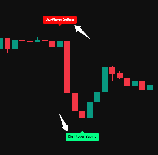 OperatorAlgo Indicator: Follow the Big Players, Trade Smarter!