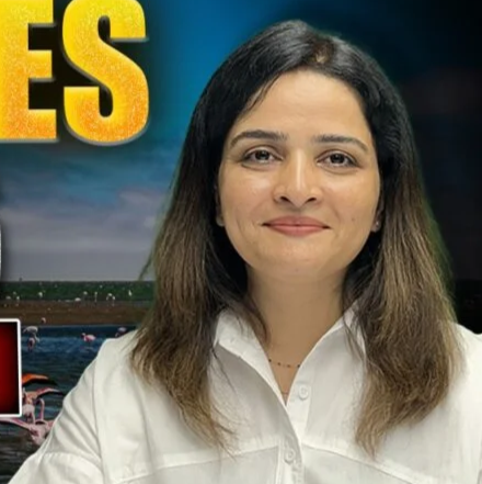 All Competition Classes | SuperProfile